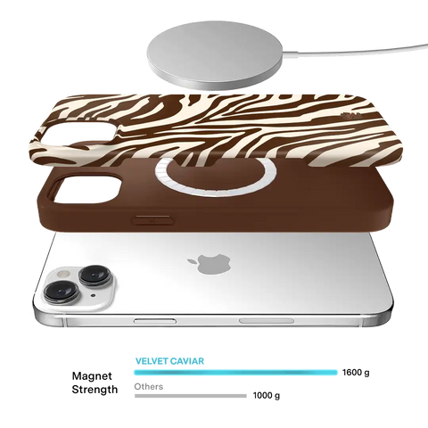Coco Zebra iPhone Case